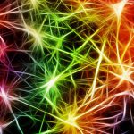 Neuro Linguistic Programming