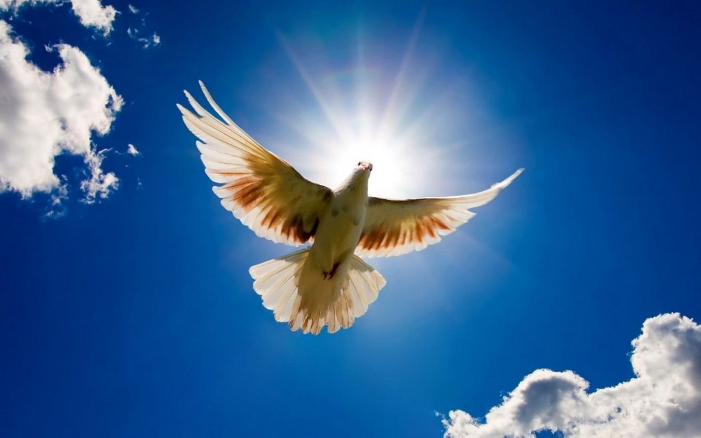 Christian NLP Total Breakthrough